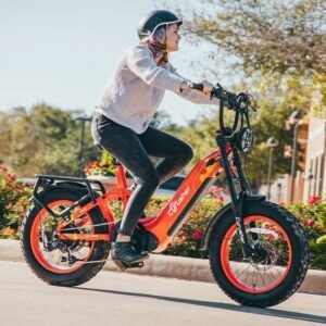 Vélo électrique Cyrusher Ovia