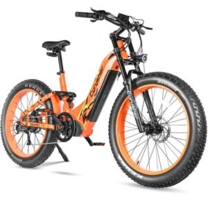Vélo électrique Cyrusher Trax