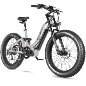 Vélo électrique Cyrusher Trax