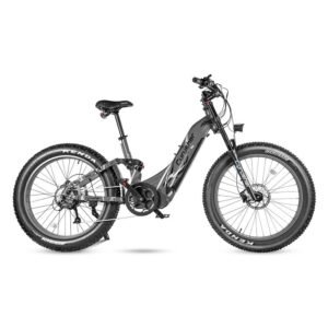 Vélo électrique Cyrusher Trax