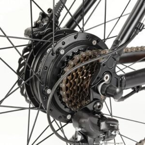 Vélo électrique Eleglide M2