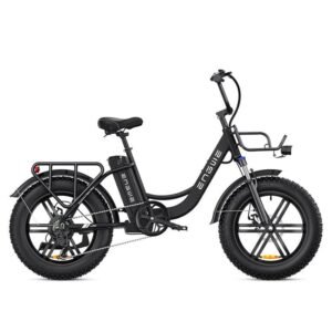 Vélo électrique Engwe L20 250W Fat E-Bike