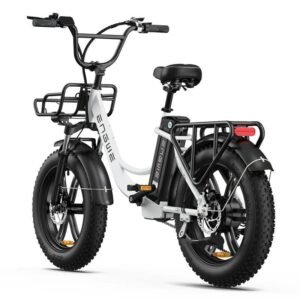 Vélo électrique Engwe L20 250W Fat E-Bike