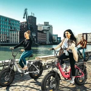 Vélo électrique Engwe L20 250W Fat E-Bike