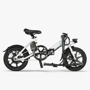 Vélo électrique Pour Femme Fiido D3 Pro