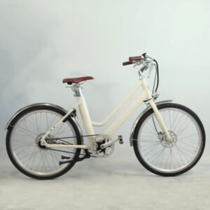 Vélo électrique Voltaire Bellecour